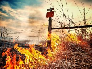 Sept incendies de champs en une semaine en Suisse romande: la sécheresse provoque des sinistres en cascade
