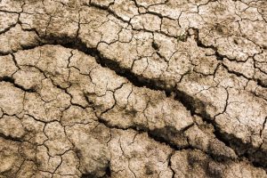 L’été 2026 coûte 400 millions de francs à la Suisse : agriculture dévastée, approvisionnement menacé